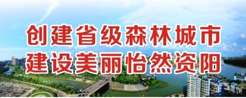 美女操b视频黄创建省级森林城市 建设美丽怡然资阳